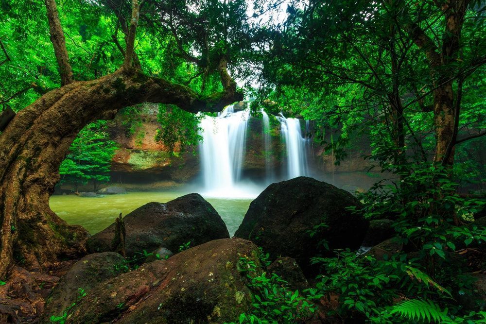 Guía de viaje económica de Tailandia para mochileros