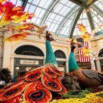 Bellagio-1-1024×682.jpg