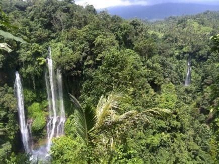 94 Cosas que hay que hacer en Bali! 6 Persigue unas cascadas