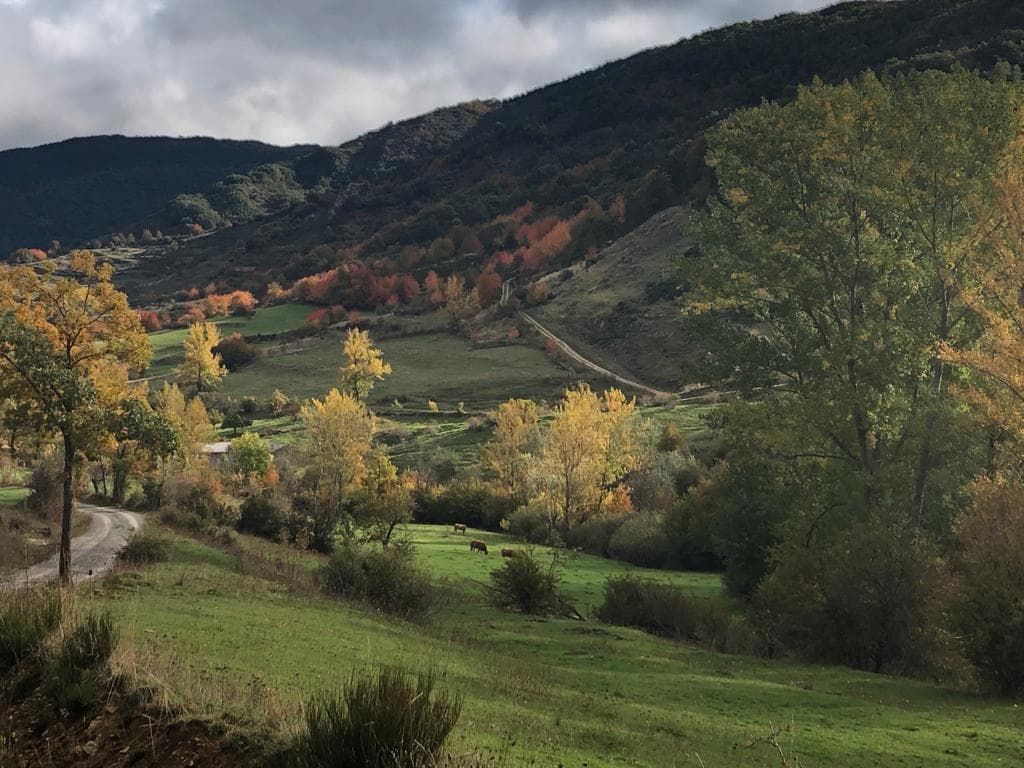 Montaña de riaño que hacer