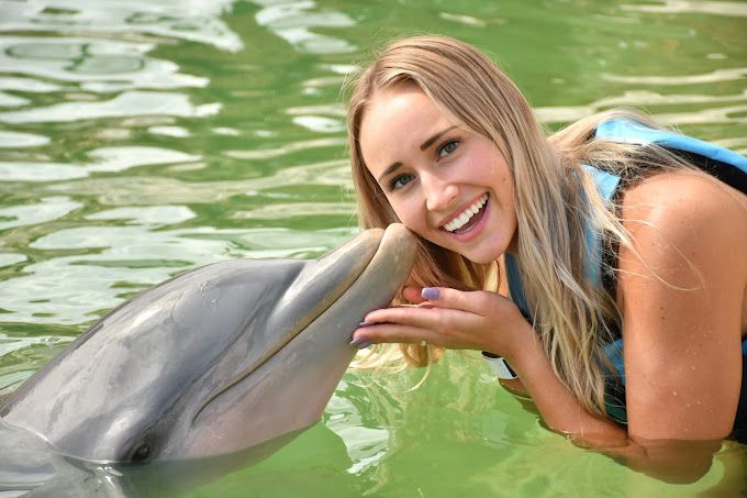 Programas de Nado con Delfines